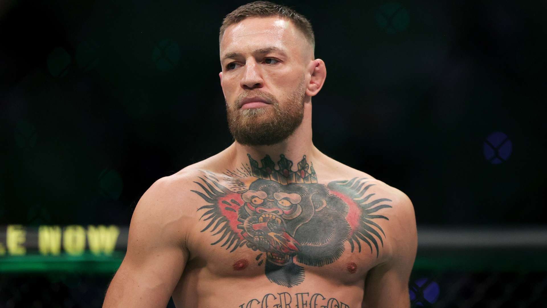 一个强大的 一个强大的